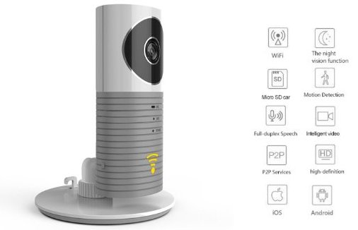 CleverDog budget home security camera